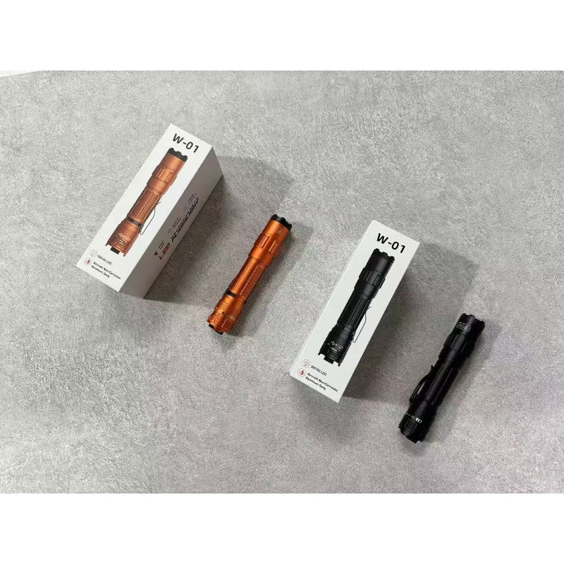 W-01 Portable Electric Shock Function Rechargeable With LED Flashlight
