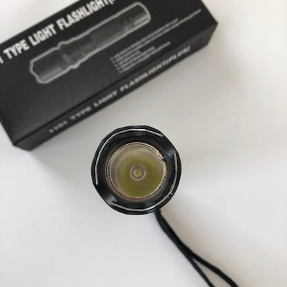 1101 Portable Electric Shock Function Rechargeable With LED Flashlight